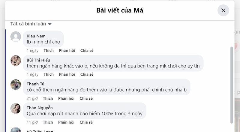Bình luận của thành viên